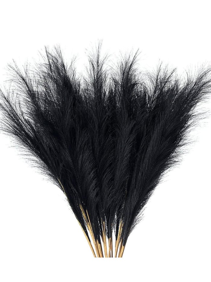 feather black